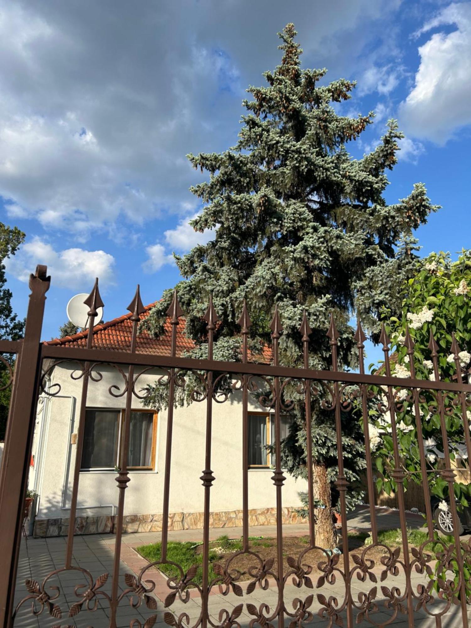 Apartamento Tavaszpart Vendeghaz Szeged Exterior foto